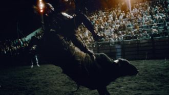 Bucking Heart: New TV Series about American Rodeo
