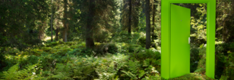 Wald Schweiz: 100 year of Swiss Forest